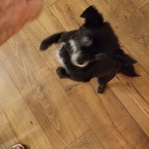 Meet your Posher, Marie